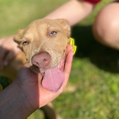 Jinhope33715678's profile picture. 