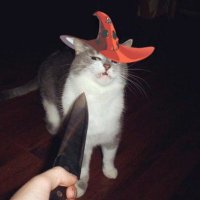 MajorTom (@gregthemajortom) 's Twitter Profile Photo MajorTom (@gregthemajortom) 's Twitter Profile Photo