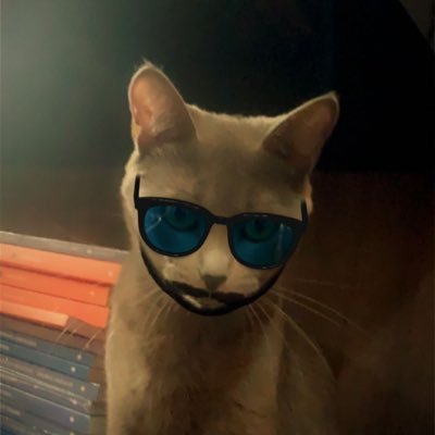 Aqui eu reclamo de várias coisas, especialmente da vida e da residência em GO.