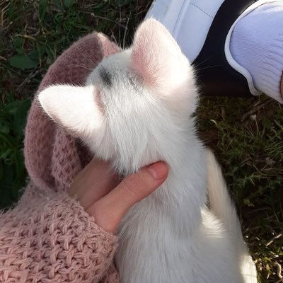 .さんのプロフィール画像