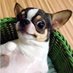 Diego (@diego80147555) Twitter profile photo Diego (@diego80147555) Twitter profile photo