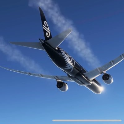 Boeing Technical Pilot with Air New Zealand. Views and opinions are my own.