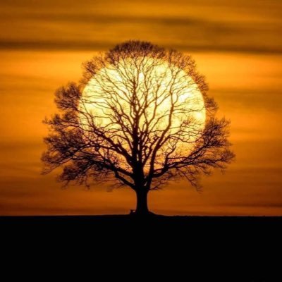 SMH_508's profile picture. New England Sports Fan. Concert Junkie.