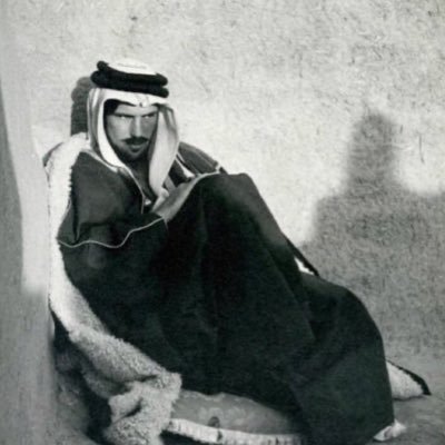 ln__n1's profile picture. سبحان الله بحمده كثيراً