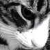 Hilary Hughes (@hilaryh68383824) Twitter profile photo Hilary Hughes (@hilaryh68383824) Twitter profile photo