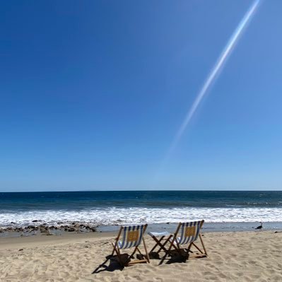 mag21488's profile picture. Foodie. Music festival and concerts aficionado. 🏇🏻🏈❤️🎉