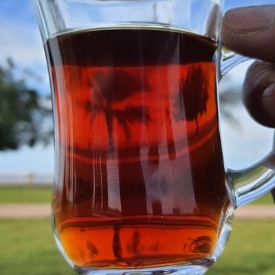 caring_for_dogs's profile picture. caring for dogs