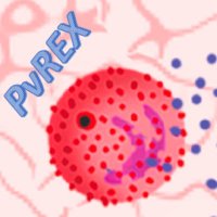 PvREX(@PvrexLab) 's Twitter Profile Photo