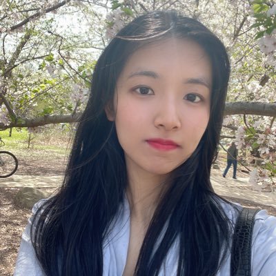 BingtingHe's profile picture. UIUC 2023’ UT Austin CMB PhD student