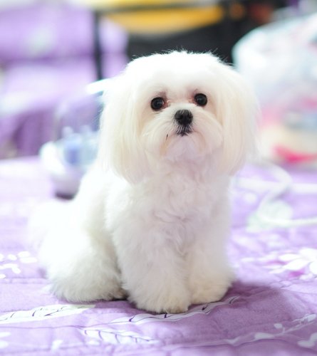 carpediemccc's profile picture. 