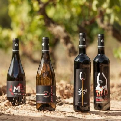 Elaborador de vins de producció propia a Fulleda. Les Garrigues.