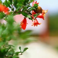 Amazing Xinjiang (@xinjiangamazin1) 's Twitter Profile