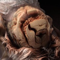 NINENORTH (@ninenorthacc) 's Twitter Profile