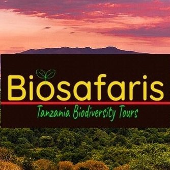 We are a conservation-oriented travel and tour operator providing meaningful tours in Tanzania.