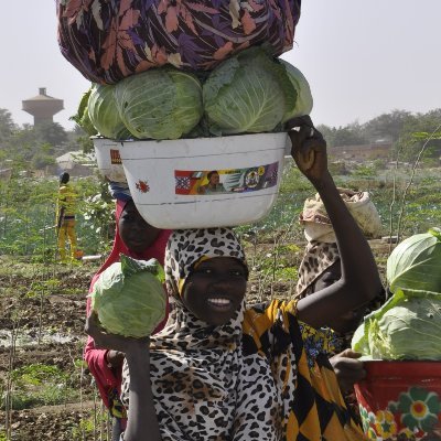 Objectif accroître la résilience et la sécurité alimentaire des ménages agricoles et pastoraux par l’utilisation de solutions numériques