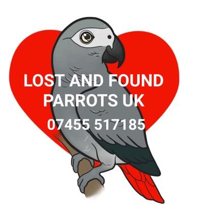 Lost and found Parrots UK:
A team dedicated to helping reunite lost and found parrots in the UK 
contact us on 07455 517185