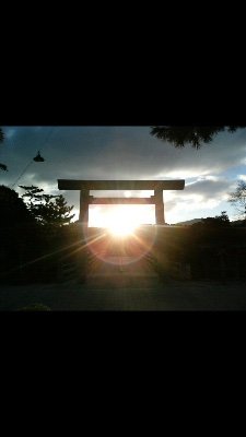 tuxedo_tuu's profile picture. 