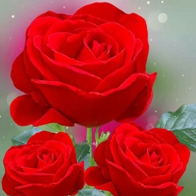 CoFamousstudio's profile picture. Professional Photographer