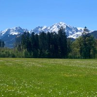 Loirinha (@akkb80) 's Twitter Profile