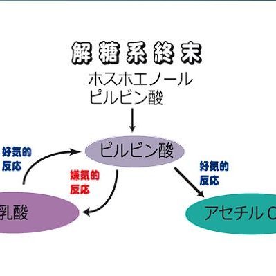 メインアカウントが乗っ取られまして。('A`)
有限会社・合同会社ネオインベント
整復操作実用研究会主宰
典型的柔整原理主義者。ｗ
医学やあはき関連はどーでもいい。
超音波治療器講習会開催希望は日本メディックスの営業さんへお願いします。(^_^;