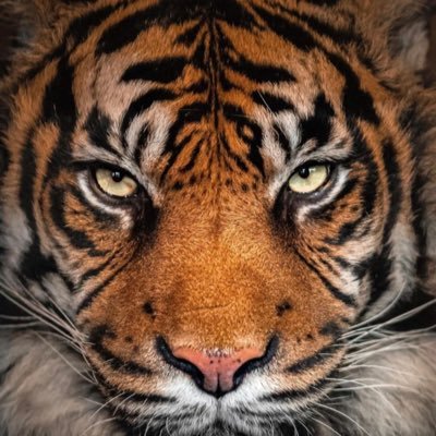 GK05050's profile picture. 