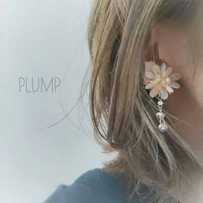 Plump(プラァンプ) (@Plump26677003) / Twitter