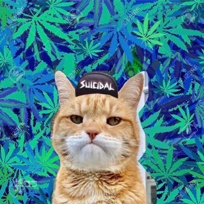 0827Mad's profile picture. RockとPunkとreggaeが大好き ///WELMAD&yKo.ってCrewでDJやったり喋ったり///pipelineってbandで叫んだり///たまにSK8///たまにsurvival@ケツが拭えるくらいの自営業