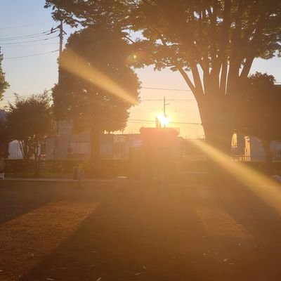 victory3711get's profile picture. 『プライムビジネス展開中❗』

人間力をアップしながら…
素敵な仲間と出会える💥
しかも継続的な権利収入を
得ながら社会貢献も出来る❗

『プライムビジネス最高👌😃💥💥💥』