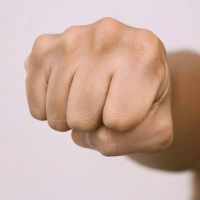 Just an ordinary fist