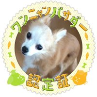 チコマチコ(@machico_chico) 's Twitter Profile Photo