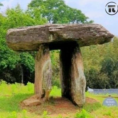 asxiuxf's profile picture. 