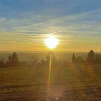 tylergm2020 (@tylergm9) 's Twitter Profile