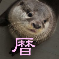 かわうそ＠暦(@k_koyomi) 's Twitter Profile Photo