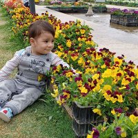 Maajid Bin Nazeer (@mattoomaajid) 's Twitter Profile