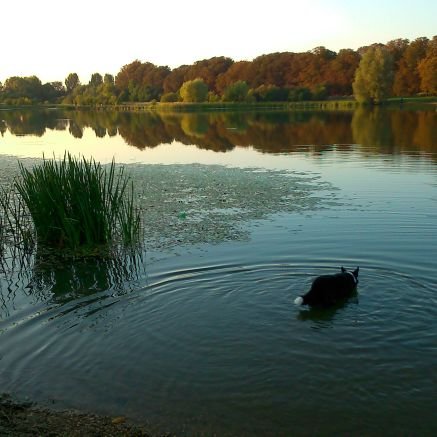 Tezzat8t's profile picture. 