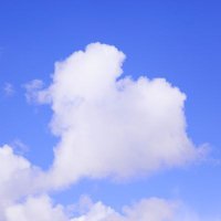 햇살타고걷기🌿 (@gottkf_11) 's Twitter Profile Photo