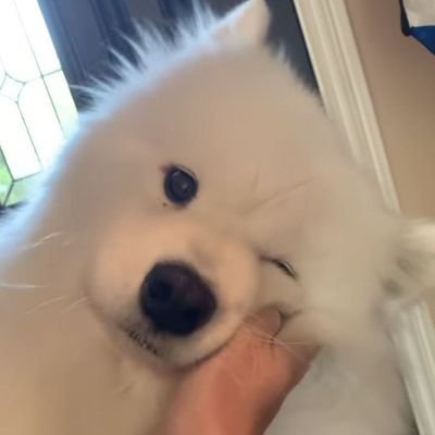 prukkreeta_'s profile picture.