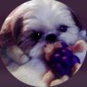 Aisumamamaru's profile picture. 動物 🐾🐶😽💕お酒🥃🍷食🍚🍗コスメ✨お笑い♪海外ドラマ🇺🇸映画🎬🕺⤴︎音楽🎸温泉♨️ 好きな母🐣🌈⚠️勧誘レビュー系DM🙅‍♀️👊 愉快なみなさんと😊🎶のんびり楽しく🤝無言フォロー大歓迎🍀#アイスママ当選報告