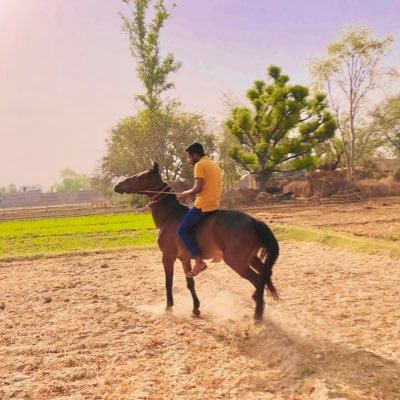 VivekSinghSik11's profile picture. तलवार से कडके बिजली लहू से लाल हो धरती हे मां कामाख्या ऐसो वर दे मोहे विजय मिले या वीरगति विवेक सिंह सिकरवार ठि:-गढ