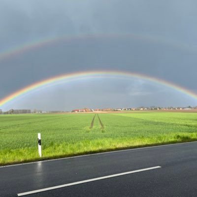 Im Herzen schwarz-gelber weltverbessender Papa. Bitte wählt nicht die AfD. LDHR