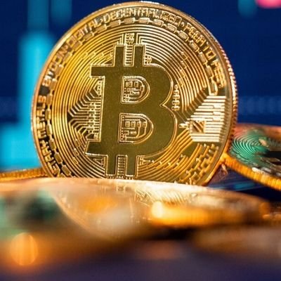 cryptowhalelife's profile picture. CRYPTO LIFE ..Still we are in growing bud soon we will rule the world for updates follow CRYPTO WHALE LIFE