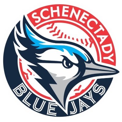 Schenectady Blue Jays Travel Baseball