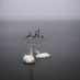 ام يقين (@amyqyn10) Twitter profile photo ام يقين (@amyqyn10) Twitter profile photo