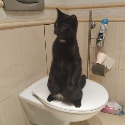 sidenko_yegor's profile picture. Boo
