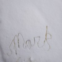 Mark (@devotedspouse) 's Twitter Profile