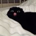 uhhh (@psalethong) Twitter profile photo uhhh (@psalethong) Twitter profile photo