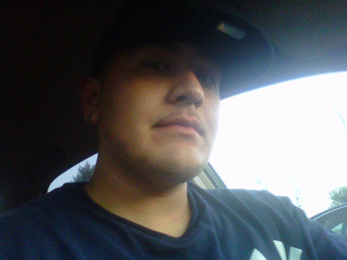 LosYONi99a's profile picture. 