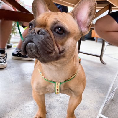 xixirubish's profile picture. work hard play hard