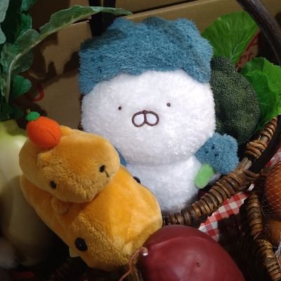 chizu_kapibara's profile picture. カピバラさん/うさまる/コジコジ/松下洸平/瀬戸康史/みょん/ネイビー·͜· ❤︎
千鳥/天竺鼠/笑い飯/クロスバー直撃/R藤本/BKB/守谷日和/ソマオ・ミートボールꉂ🤭
秘密結社コヤミナティを応援してます🐶💛❤💙 @koyaminati  #愛しのみょん レイトラ団員№.12 インワンダー族💛