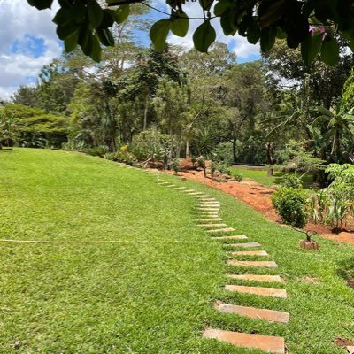 cryptoianlover's profile picture. 